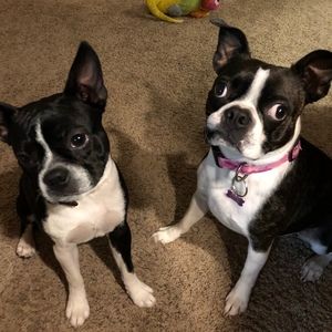 Meet your Posher, Mickip63